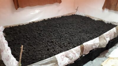 بدون قفسه خاک دهی